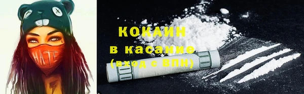 твердый Бронницы