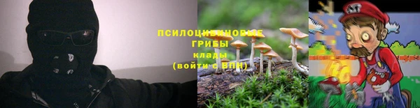 хмурый Бородино