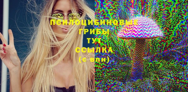 сатива Верхний Тагил