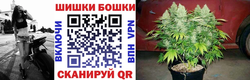 Бошки Шишки конопля  Цимлянск 